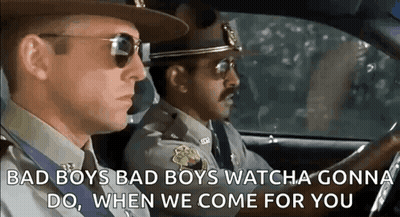 Two Police Officers Driving Car GIF