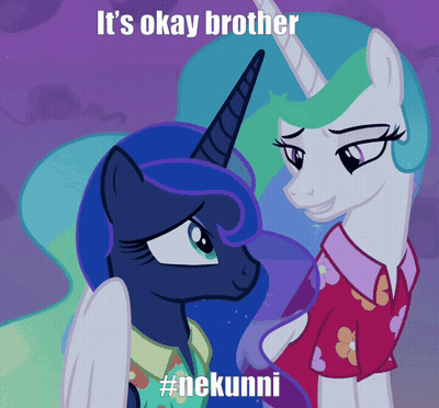 Two Ponies Saying It's Okay Brother GIF