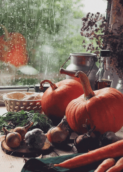 Two Pumpkins Sit On A Table In Front Of A Window With Raindrops On It GIF