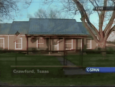 Two Puppies Playing In Grass GIF