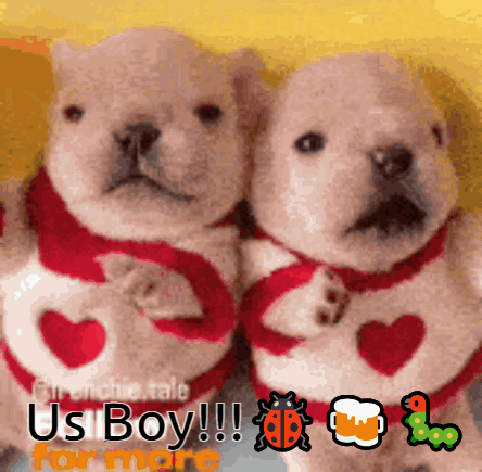 Two Puppies Wearing Red Sweaters With Hearts On Them And The Words Us Boy On The Bottom GIF