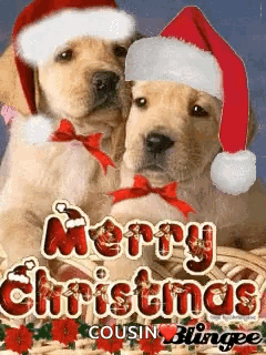 Two Puppies Wearing Santa Hats And Bows Are On A Merry Christmas Card . GIF