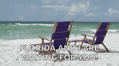 Two Purple Beach Chairs Saying Florida And I Are Waiting For You GIF