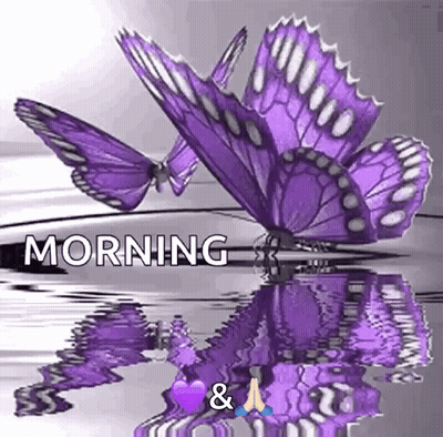 Two Purple Butterflies Are Sitting On Top Of A Body Of Water With The Words Morning And A Heart . GIF