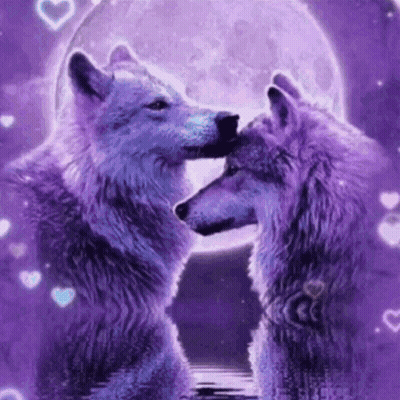 Two Purple Wolves Kissing Under Full Moon GIF