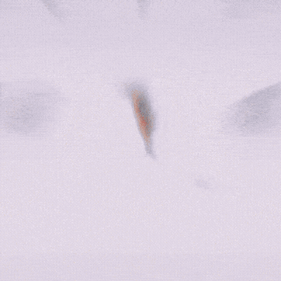 Two Puzzle Pieces Saying You Are My Missing Piece GIF