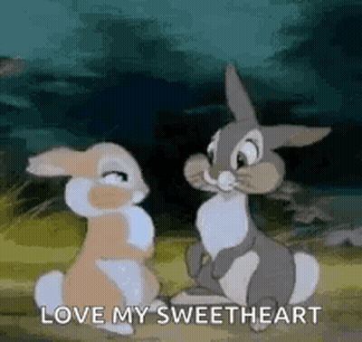 Two Rabbits Are Sitting Next To Each Other In A Field And Talking . GIF