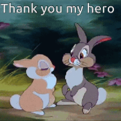 Two Rabbits Are Standing Next To Each Other With The Words " Thank You My Hero " Above Them GIF