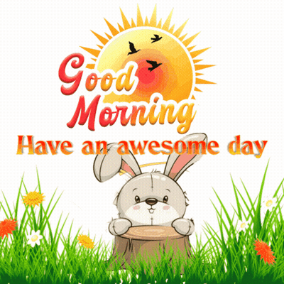 Two Rabbits Good Morning Have An Awesome Day GIF