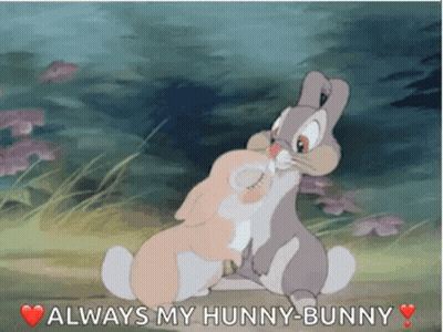 Two Rabbits Hugging In Field GIF