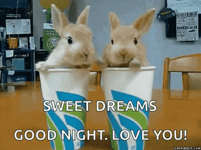 Two Rabbits in Cups Saying Good Night