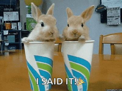 Two Rabbits In Cups With The Words I Said It GIF