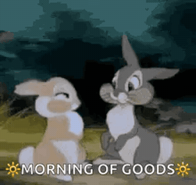 Two Rabbits In Field With Morning Of Goods GIF