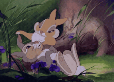 Two Rabbits Lying In Grass With Purple Flowers GIF