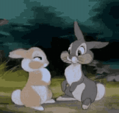 Two Rabbits Sitting On Grass GIF