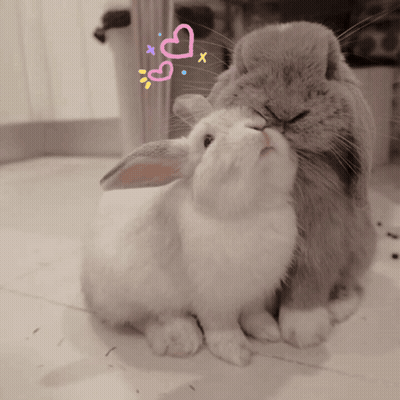 Two Rabbits Sitting Together With Pink Hearts GIF