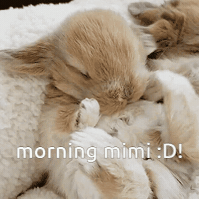 Two Rabbits Sleeping Morning Mimi GIF