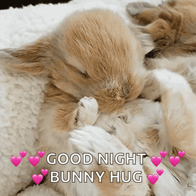Two Rabbits Sleeping On Blanket Saying Good Night Bunny Hug GIF