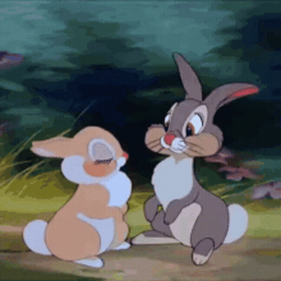 Two Rabbits Standing In Field GIF