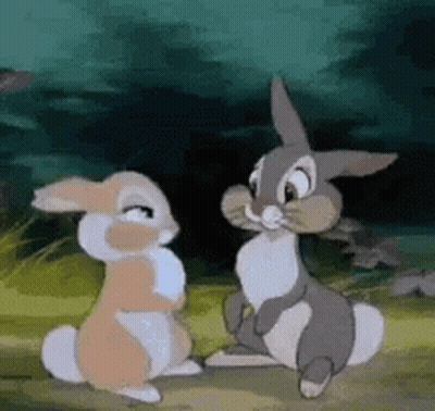 Two Rabbits Standing Together In Field GIF