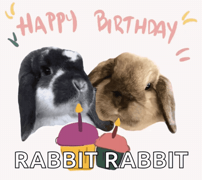 Two Rabbits With Candles Happy Birthday GIF