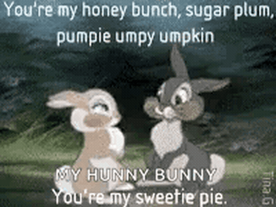 Two Rabbits You're My Honey Bunch GIF