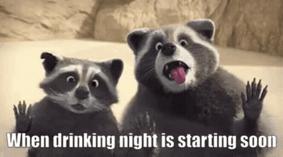 Two Raccoons Are Sitting Next To Each Other With Their Tongues Out And The Words When Drinking Night Is Starting Soon GIF