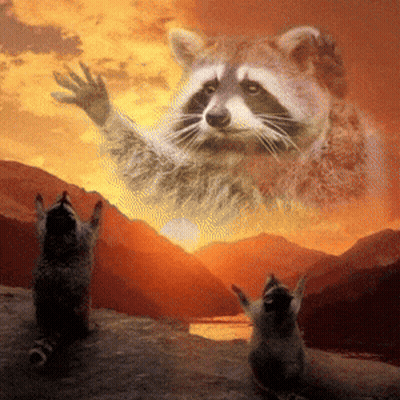 Two Raccoons Are Standing In Front Of A Mountain With A Raccoon Flying Overhead GIF