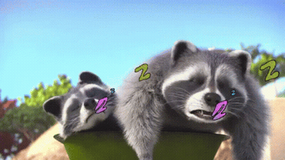 Two Raccoons Sleeping With Z Letters GIF