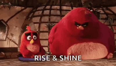 Two Red Angry Birds From The Angry Birds Movie Are Sitting On A Table . GIF