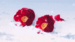 Two Red Flowers Anime Scenery GIF