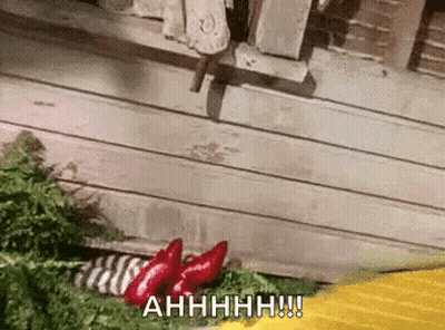 Two Red Peppers On Greenery GIF