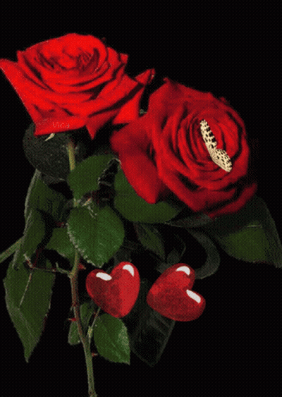 Two Red Roses With Hearts And Butterfly Vica GIF
