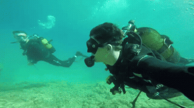 Two Scuba Divers Are Swimming In The Ocean And One Of Them Is Wearing A Black Wetsuit With The Letter N On It GIF