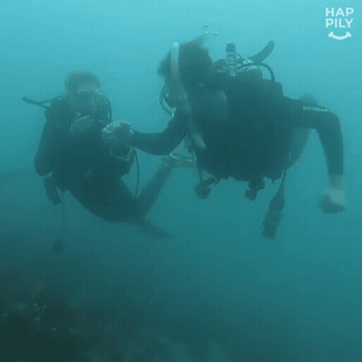 Two Scuba Divers Are Swimming In The Ocean And The Words Hap Pily Are Visible GIF