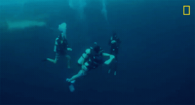 Two Scuba Divers Are Swimming In The Ocean With A National Geographic Logo In The Background . GIF