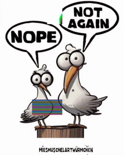 Two Seagulls Are Standing Next To Each Other With A Speech Bubble Saying Nope GIF