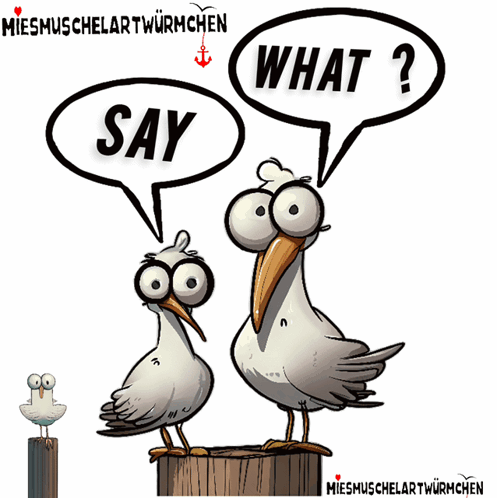 Seagulls Saying Say And What GIF