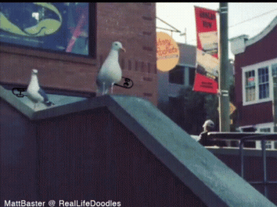 Two Seagulls Are Standing On A Ledge In Front Of A Building With A Banner That Says Hungry Buffet GIF