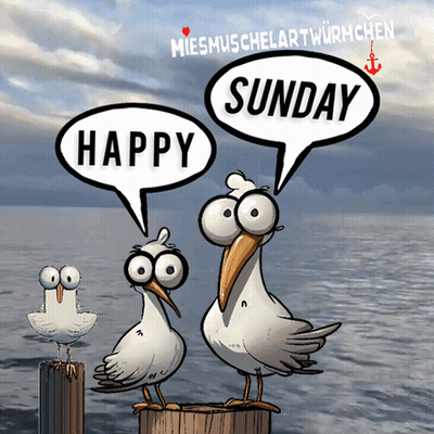 Two Seagulls On A Dock Saying Happy Sunday GIF