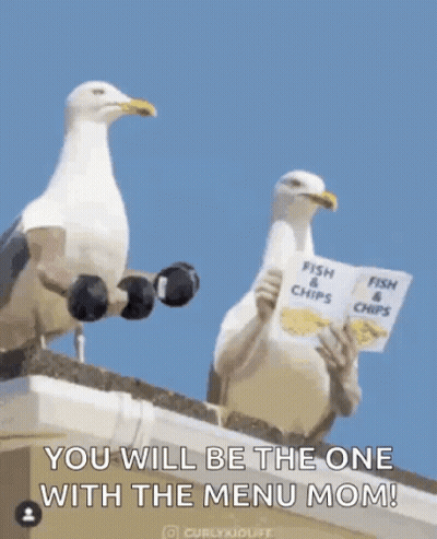 Two Seagulls On A Roof Holding Dumbbells And A Book Titled Fish & Chips GIF