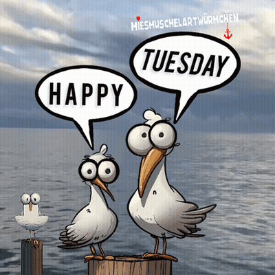 Two Seagulls On Dock Saying Happy Tuesday GIF