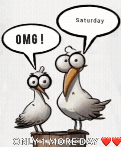 Two Seagulls Standing With Speech Bubbles GIF