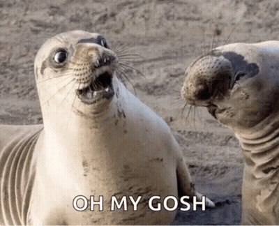 Two Seals Are Looking At Each Other With The Words Oh My Gosh Written Below Them GIF