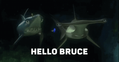 Two Sharks Swimming With Hello Bruce GIF