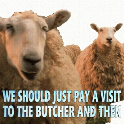 Two Sheep Saying We Should Just Pay A Visit To The Butcher And Then GIF