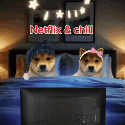 Two Shiba Inu Watching Netflix And Chill GIF