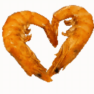 Two Shrimp Making Heart Shape With Heads GIF