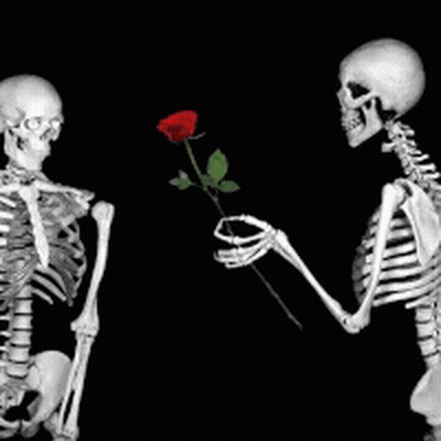 Two Skeletons Standing Next To Each Other One Holding Red Rose GIF