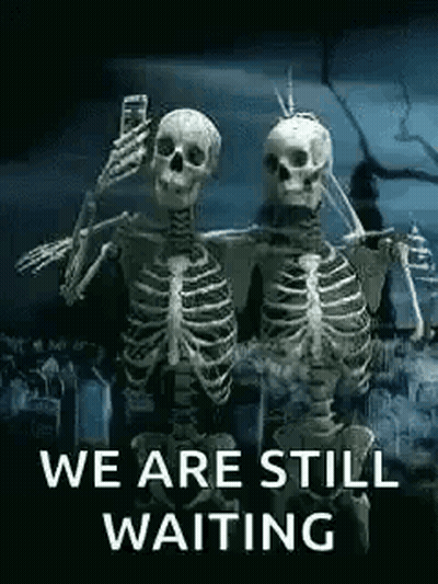 Two Skeletons Taking Selfie GIF